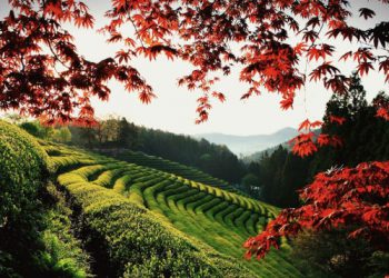 Güney Kore’de trenle hangi şehirler gezilebilir?