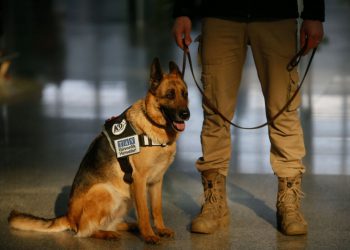 Adnan Menderes’te güvenliğin vazgeçilmez ismi: Lucy