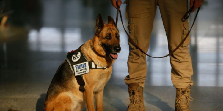 Adnan Menderes’te güvenliğin vazgeçilmez ismi: Lucy