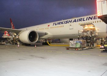 Tarihi eserler THY kargo ile getirildi