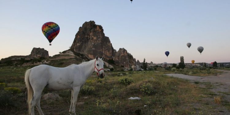 Kapadokya semaları sıcak hava balonlarıyla renklendi
