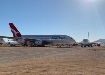 Qantas personelinin çıngıraklı yılan korkusu