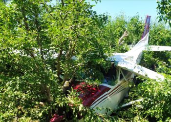 Bursa’da eğitim uçağı meyve bahçesine indi