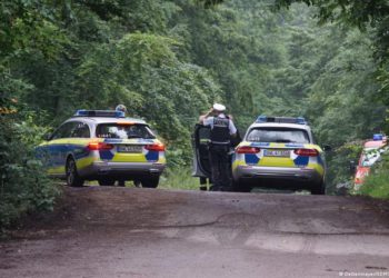 Almanya’da küçük uçak düştü: 3 ölü