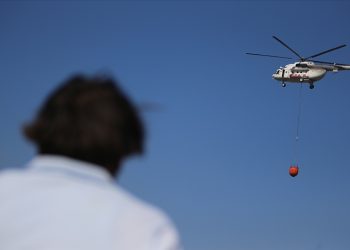 Orman yangınlarıyla mücadele için ‘havacılık dairesi’ kuruldu