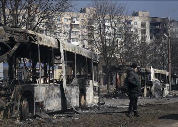 Şapsığlar, Rus-Çerkez Savaşı ve Ukrayna