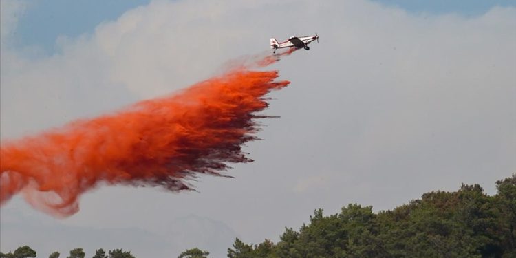 Uçaklardan ormanlara neden kırmızı su atılıyor?