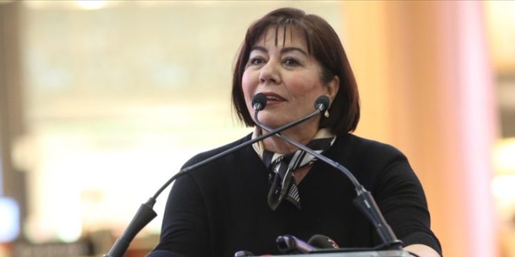 Eski DHMİ Genel Müdürü Ocak’tan 300 bin liralık tazminat davası