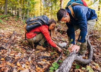 2023’te seyahat trendleri değişecek!