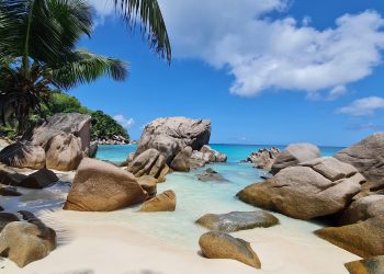 En çok tropik adalara uçmayı seviyorlar!