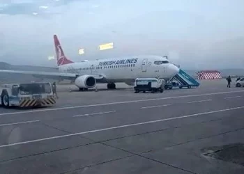 THY uçağına iniş sırasında kuş çarptı