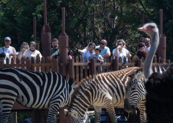 İzmir Doğal Yaşam Parkı’nı tatilde 150 bin kişi ziyaret etti