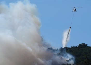 Orman yangınları geçen yıla göre yüzde 78 arttı