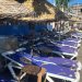 Bodrum sahilleri kan ağlıyor!