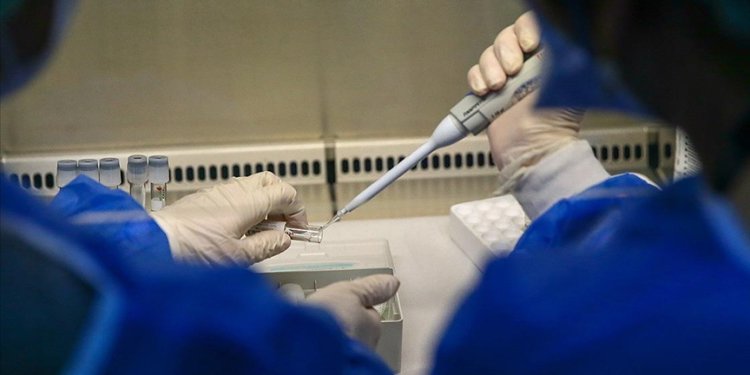 DSÖ’den uyarı: M çiçeği için koordineli eylem şart