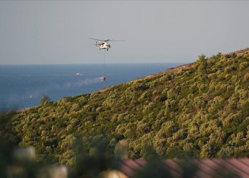Hava gücü yanan orman alanını azalttı