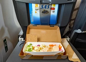 Yemek tepsisinden çıkan fare uçağa acil iniş yaptırdı