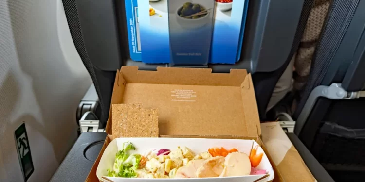 Yemek tepsisinden çıkan fare uçağa acil iniş yaptırdı