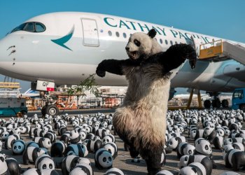 Havalimanı Panda heykelleriyle doldu taştı