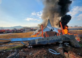 Güney Kore’deki kazada kule kuş sürüsü uyarısı yapmış