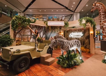 Changi’nin milyonerler kampanyası sürüyor