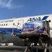 ANA, kargo rezervasyonu sunan ilk Japon havayolu oldu
