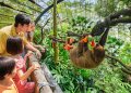 SIA ve Mandai Wildlife’tan yaban hayat için iş birliği