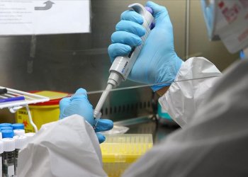 Kıbrıs’ta deli dana hastalığı var mı?