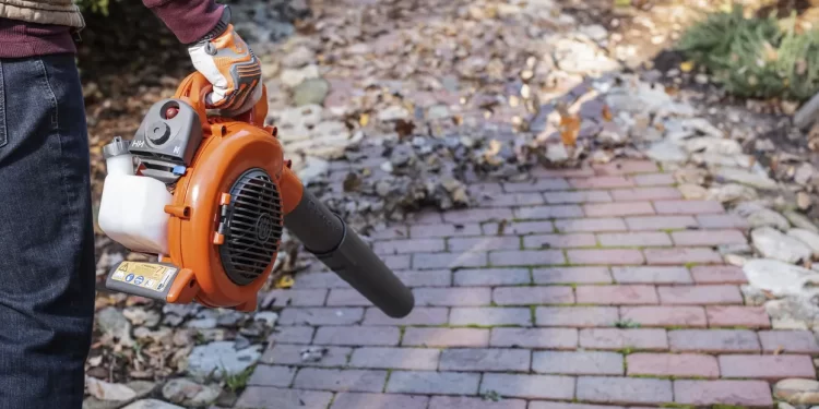 Sizin de yaprak üfleyiciniz var mı?